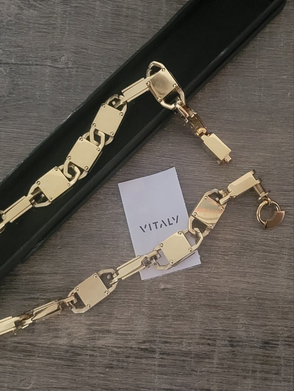 Viyaly Gild Stainless Steel Industrial Necklace